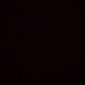 Meet your Posher, Preston